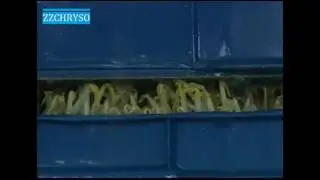 Zhengzhou Chryso  Soybean sprouting machine