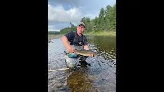 Grilse at Bullock's Lodge - MSW Miramichi, Sept.6, 2021