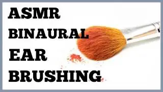 ASMR BINAURAL EAR BRUSHING 1HOUR SLEEP RELAXATION