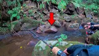 【はみ出てるよ？！】隠れてるつもりの40オーバーを狙ってみると！！！