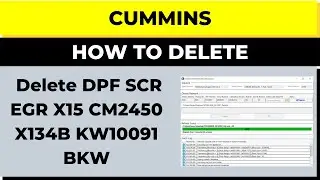 Delete DPF SCR EGR X.15 CM2450 X134B KW10091 BKR
