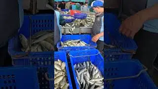 The Most ODDLY SATISFYING Video on the Internet A Master's God Tier Knife Skills on a Mountain of Fi