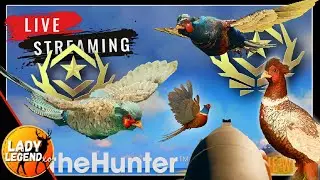 368 KILLS into the GREAT ONE PHEASANT GRIND - LIVE!!!