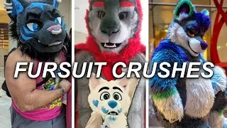 MY SPICY FURSUIT CRUSHES [not suitable for the hr department]