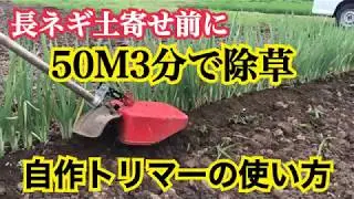 長ネギ トリマー 除草作業・土寄せ前作業
