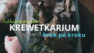 Jak założyć pierwsze akwarium? / Nano shrimp tank simple aquascaping