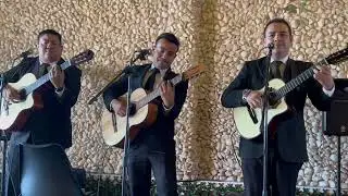 Caminemos-Passion Trío