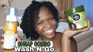 My Lotta body & Salon Line Cheap Wash n Go Combo #lottabody #salonline | Type 3c,4a,b Fine Hair