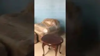 Auction