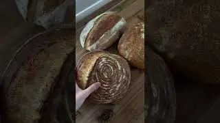 Sounds of bread / #bread #homemade #homemadebread #food #breadmaking #sourdough #howtomakesourdough