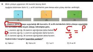 2025-2026 8. Sınıf LGS 12. Deneme, Arı TG, Fen Bilimleri