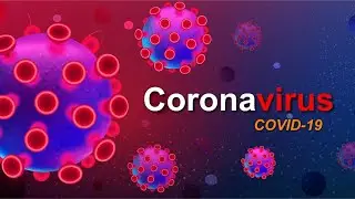 Live: WHO briefs the media on latest COVID-19 drug trial findings