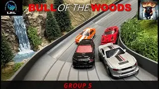 HOTWHEELS RACING: BULL OF THE WOODS GRP5: CAN FERAL PATRICK STAY ON TOP!#diecastracing #hotwheels