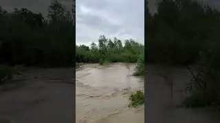 Flood🌊  #flood #floodpunjab #punjab #warzone #rainyday #farmer #farming  #floodsituation #survival