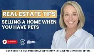 RE Tips: Selling A Home When You Have Pets