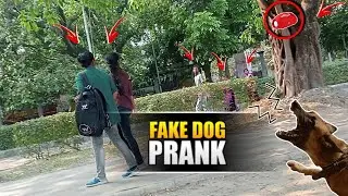 FAKE DOG BARK PRANK BY THE BONG SQUAD