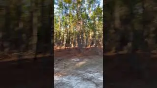 300 acres of land it&rsquo;s a lot to take care of
