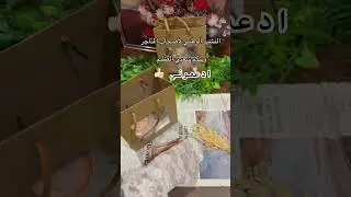 بخور مستكا #كلنا_محمد_بن_سلمان #trend #شعب_المملكه_يساند_ولي_العهد #explore #saudi #سلمان #homepage