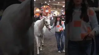 It was auctioned for 20,000