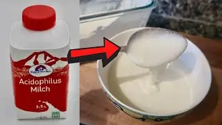 ACIDOPHILUS Milch selber machen I 2 ZUTATEN Rezept