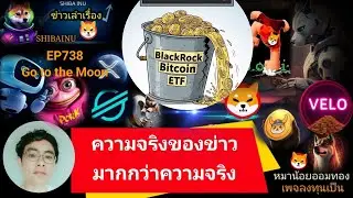 EP738 #Shiba #XRP #velo #Floki #AI #XLM #DMTR #wlfi  ความจริงของข่าวมากกว่าความจริง 