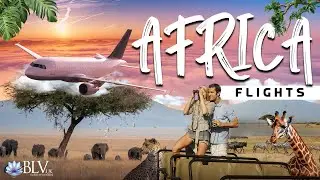 Авиабилеты из Лондона в Африку | Blue Lotus Vacations UK