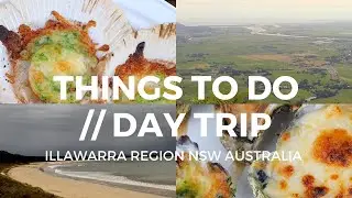 Things to do ILLAWARRA region | Seafood lookouts beaches | The Sydney Experience