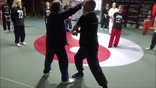Application Ratan Ring on selfdefence workshop Grandmaster Walter Toch