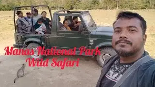 Manas National Park Wild Safari || মানস ৰাষ্ট্ৰীয় উদ্যান ছাফাৰী 