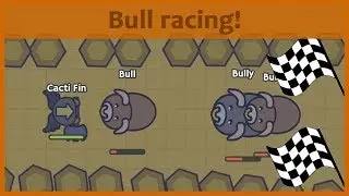 Moomoo.io - NEW MINIGAME: Bull racing in experimental mode! (w/ fan arts)