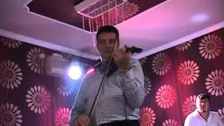 Mitica Negrean 2015 Casa de nunti Pietricica