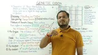 Genetic Codons Made Simple | Protein Synthesis l NEET & 12th l Complete Coverage #neet2026 #neet 