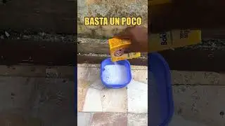 Soluci&oacute;n definitiva para la humedad en casa con ingredientes caseros