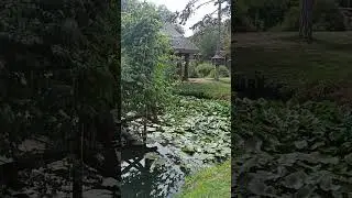Vinča, OD Radmilovac (