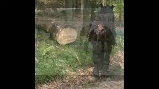 Memories Video Two of Celtic Horse Logging 
