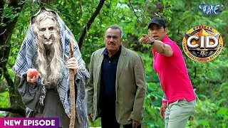 जंगल में CID का सामना हुआ लाल सेब वाली खौफनाक चुड़ैल से | Best Of CID | #newepisode | Full Episode