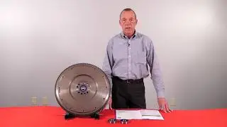 Pilot Bearing 101