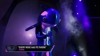 Orca Performs 