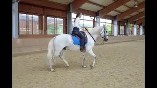 Passage * Cadenced steps * neckrope * loose rein * Kadenzierte Tritte * langer Z&uuml;gel * Halsring