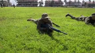 B-Roll: Marines and Panamanian Forces Train on Jungle Contact Response
