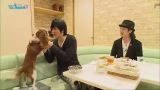 犬と戯れる遊佐浩二