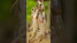 Shrimp Curry #shorts  #bonvoj