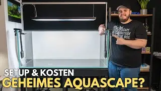 Mein geheimes Contest-Aquarium: Setup, Planung & Kosten