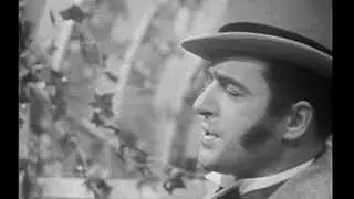 Die Fledermaus 1966