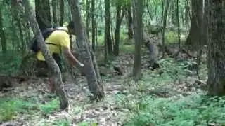 Mount Tremper Trail - 2