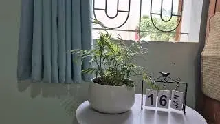 22 # Oder một tình yêu cao cấp # C53 - C54 # Ngải Tiểu Đồ