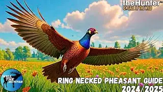 Salzwiesen Park Ring Necked Pheasant Guide | TheHunter Call Of The Wild 24/25