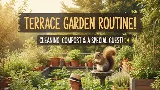 Terrace Garden Routine: Cleaning, Compost & A Special Guest! ✨Sukhi Pattiyo Se Compost Tak! 🌿🦋 #diy 