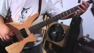 BAIXO HOFNA STEINBERGER test 1