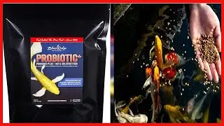 Blue Ridge Fish Food, Probiotic Plus 3/16